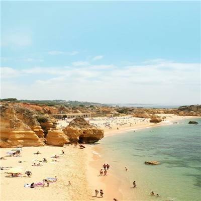 ayx体育在线登录手机app下载