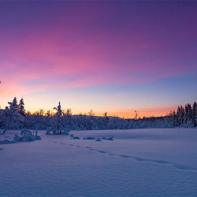 金沙集团9500官网app下载