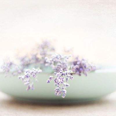 云开官方网站入口截图