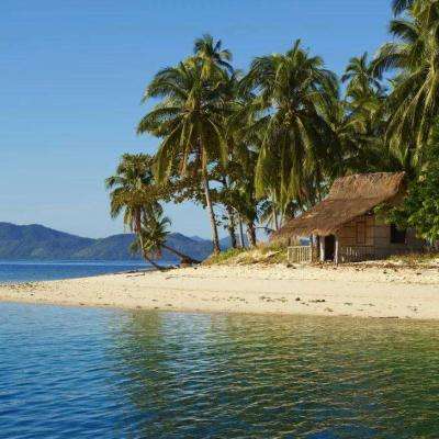 m6米乐网页版登录入口app下载截图