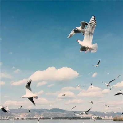 365体育中国官方网站