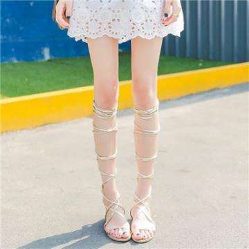 半岛官方网站入口下载